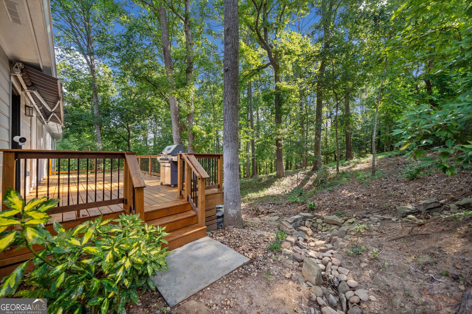 3095 Pillement Place Alpharetta - 43