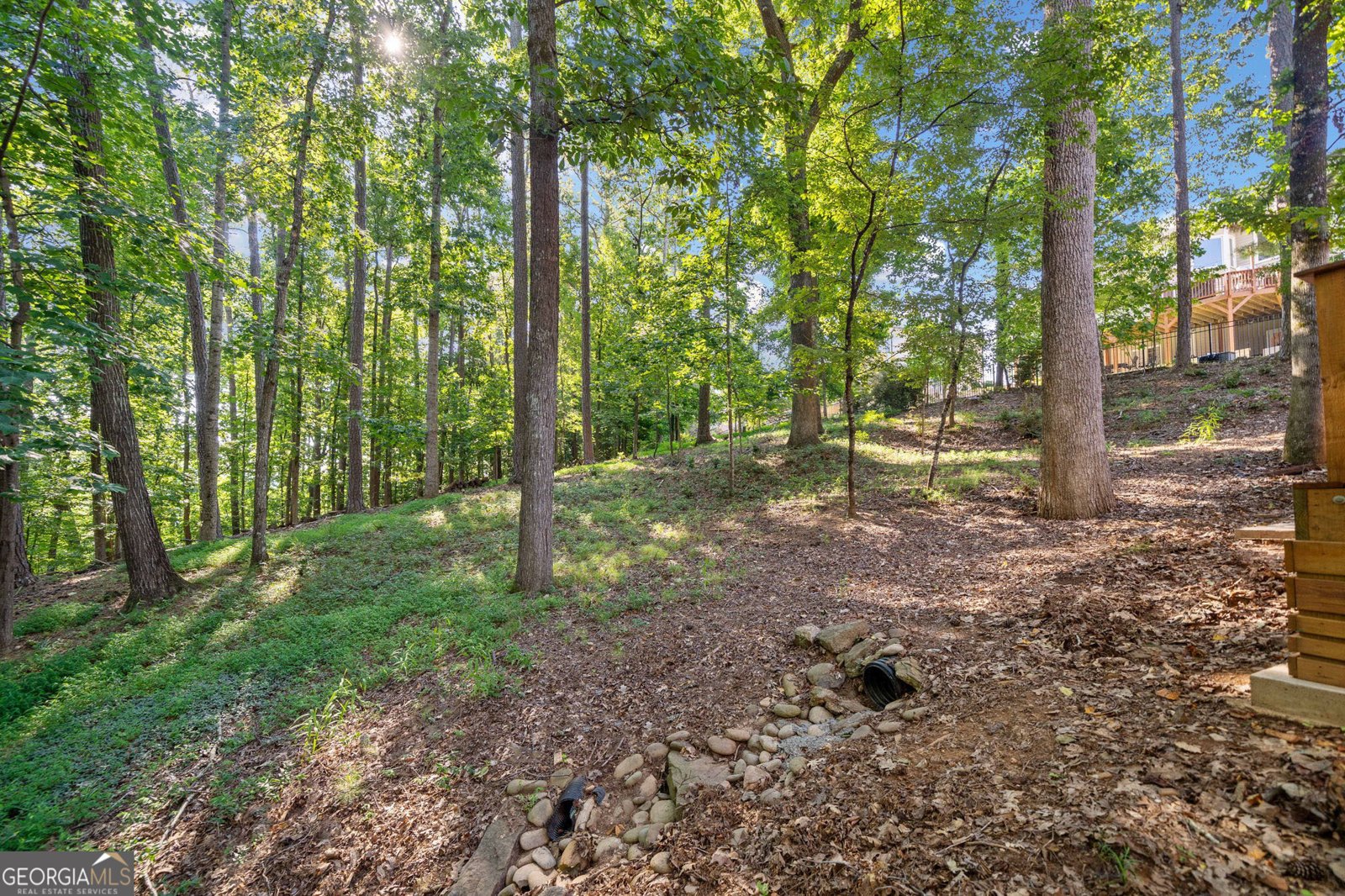 3095 Pillement Place Alpharetta - 45