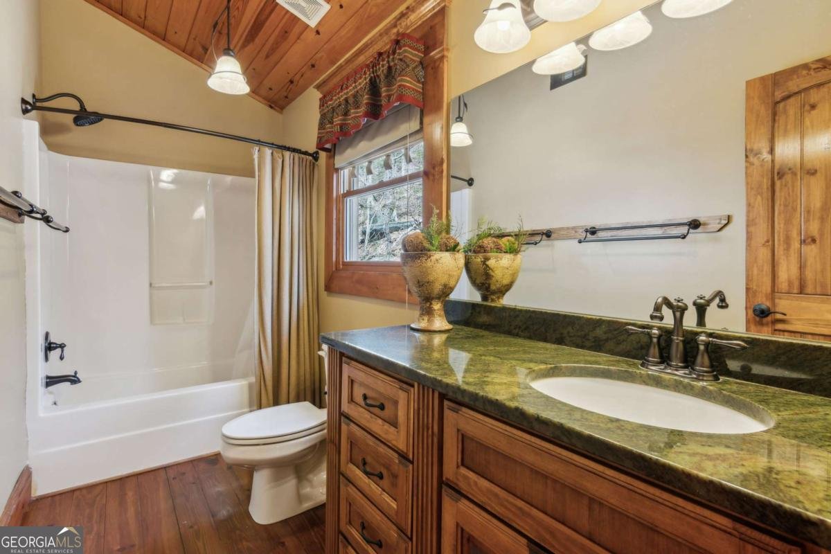 124 River Shoals Road Ellijay - 1