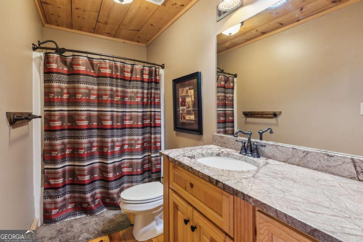 124 River Shoals Road Ellijay - 15