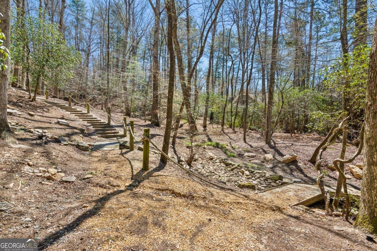 124 River Shoals Road Ellijay - 60
