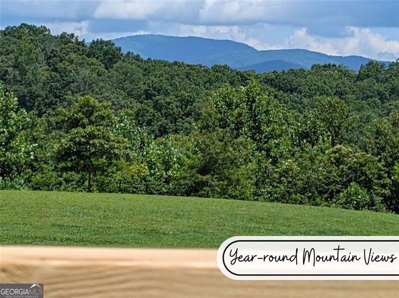 4150 Porter Springs Road Dahlonega - 19