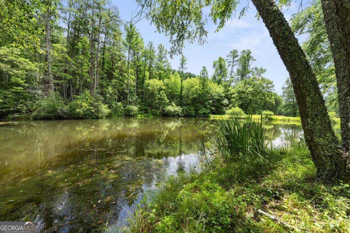 9883 Warwoman Road Clayton - 56