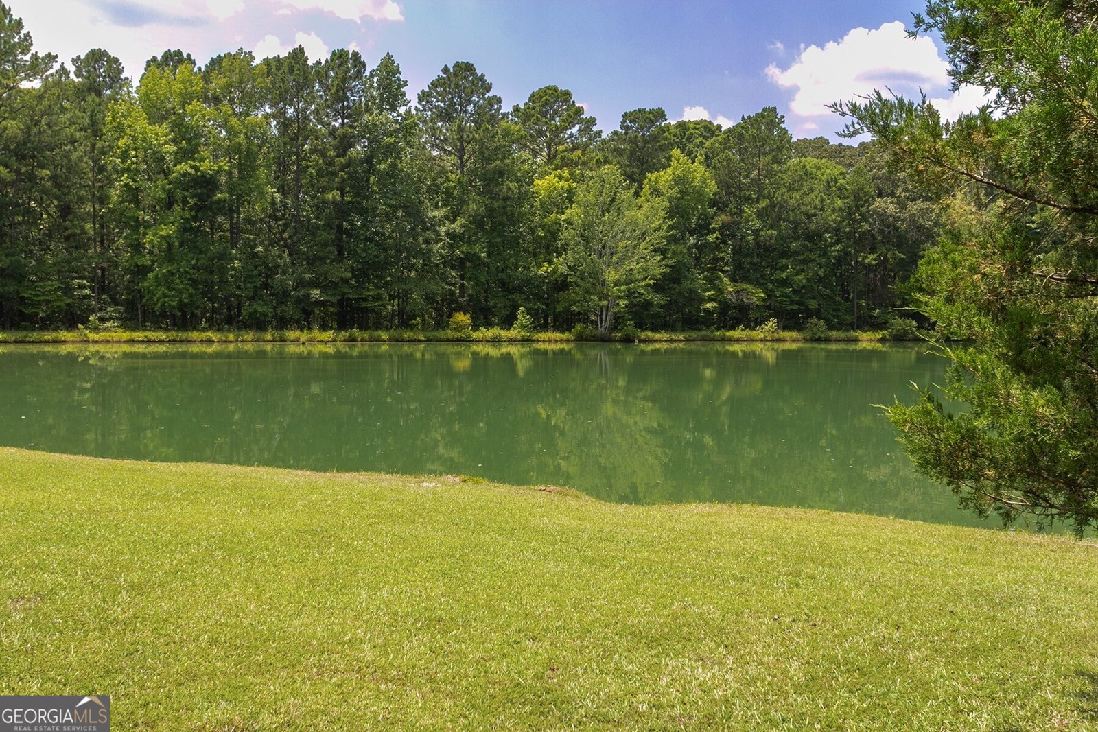 111 Jenkins Road Forsyth - 11
