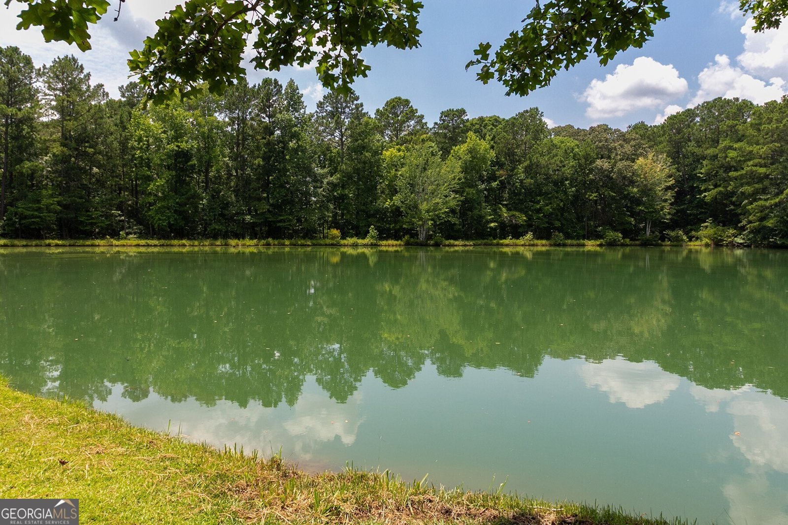 111 Jenkins Road Forsyth - 12