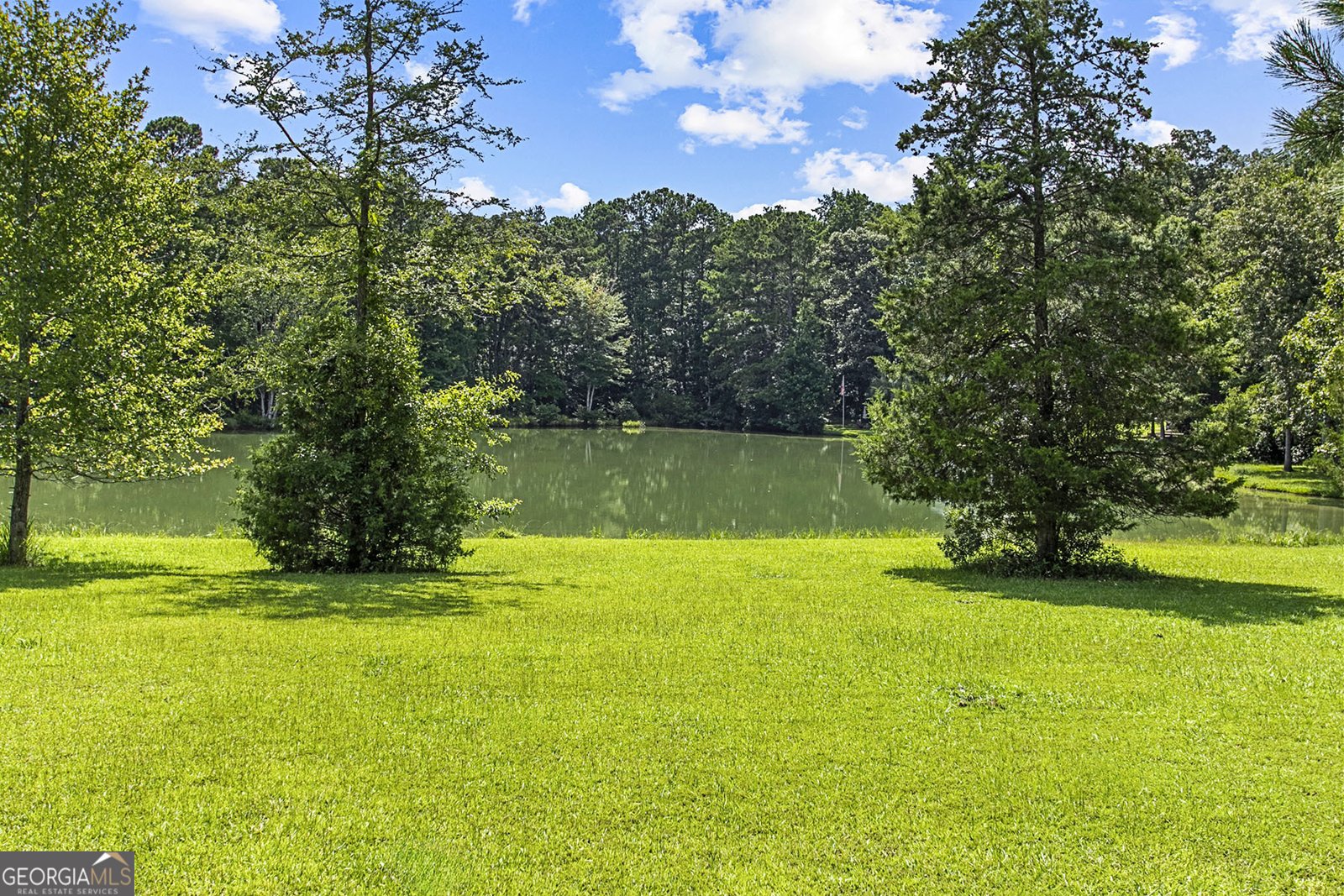 111 Jenkins Road Forsyth - 9