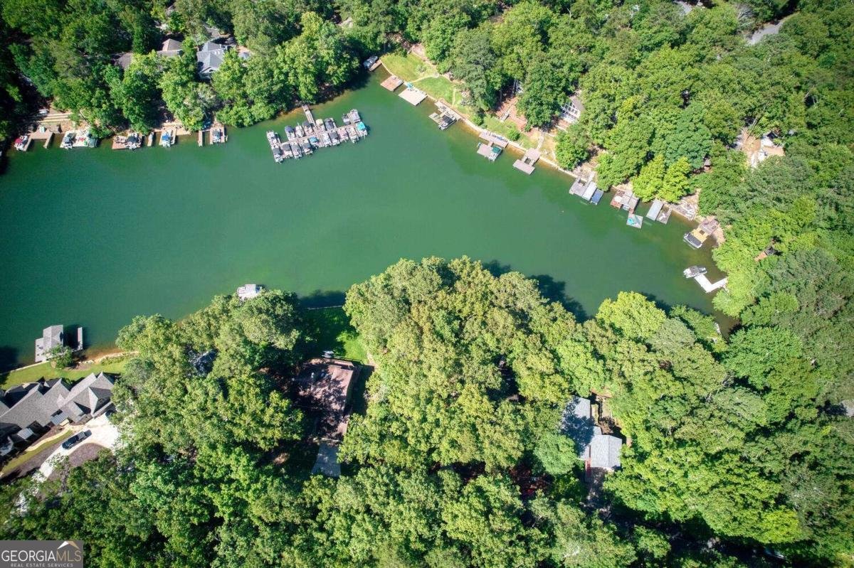 225 Lakeview Circle Waleska - 45
