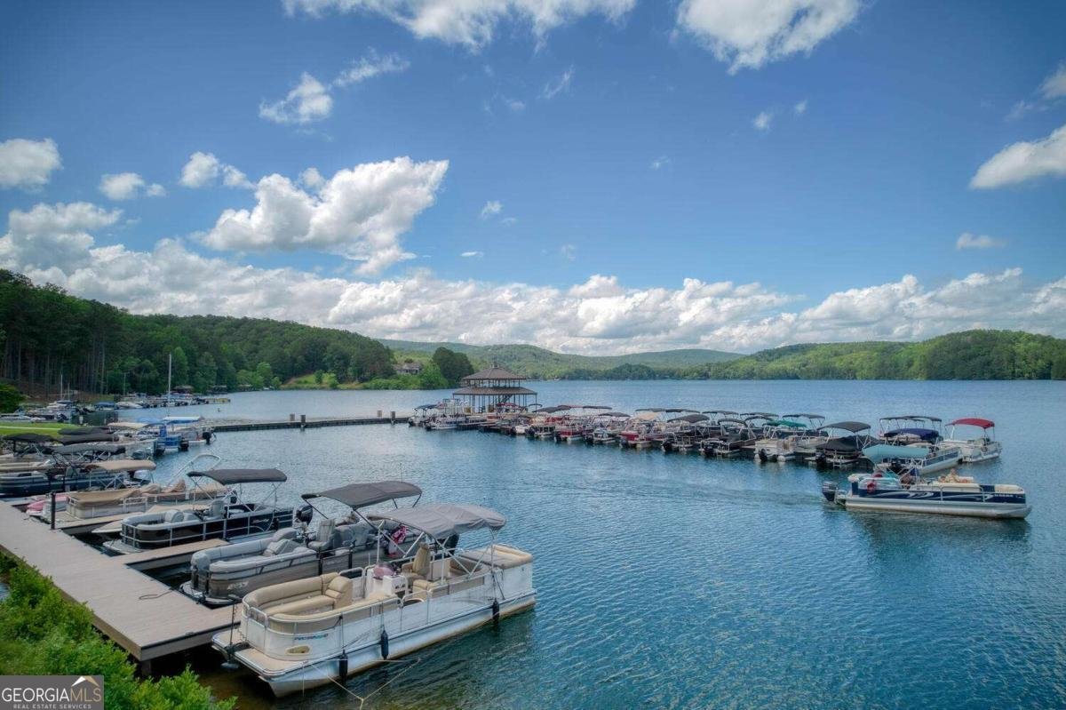 225 Lakeview Circle Waleska - 46