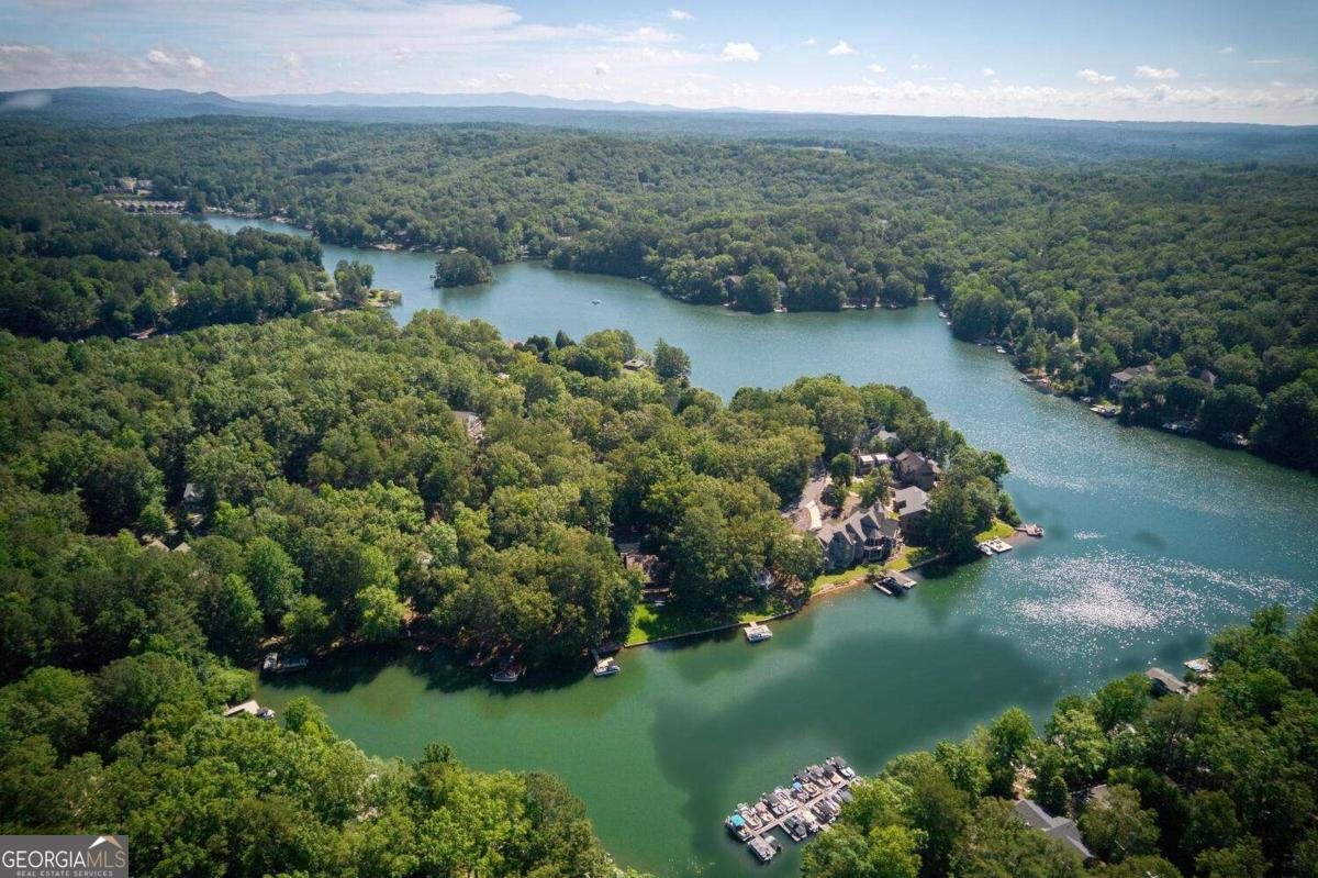 225 Lakeview Circle Waleska - 47