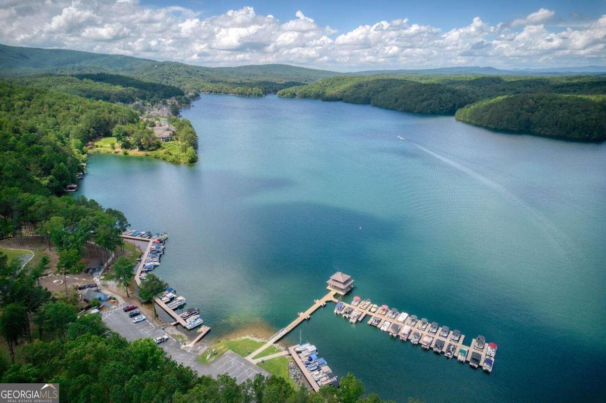 225 Lakeview Circle Waleska - 48