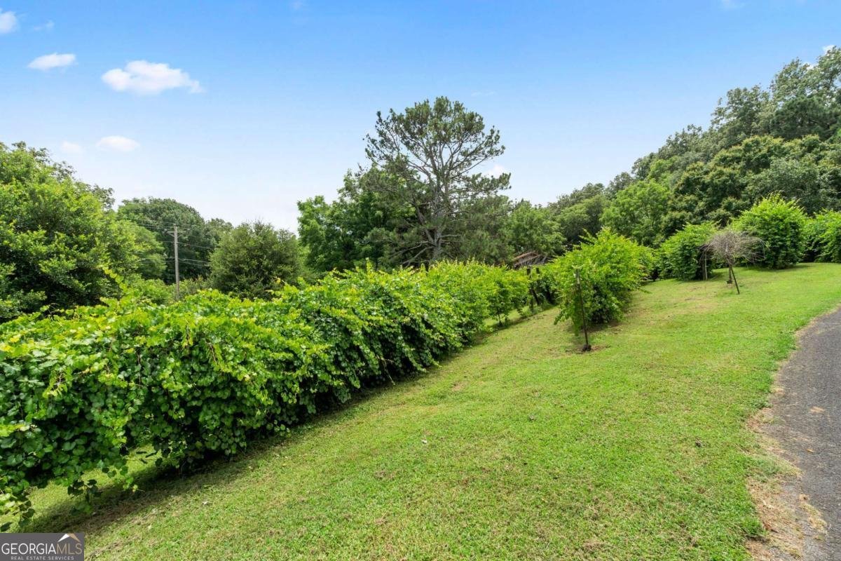 1809 Mcdaniel Station Road Calhoun - 34