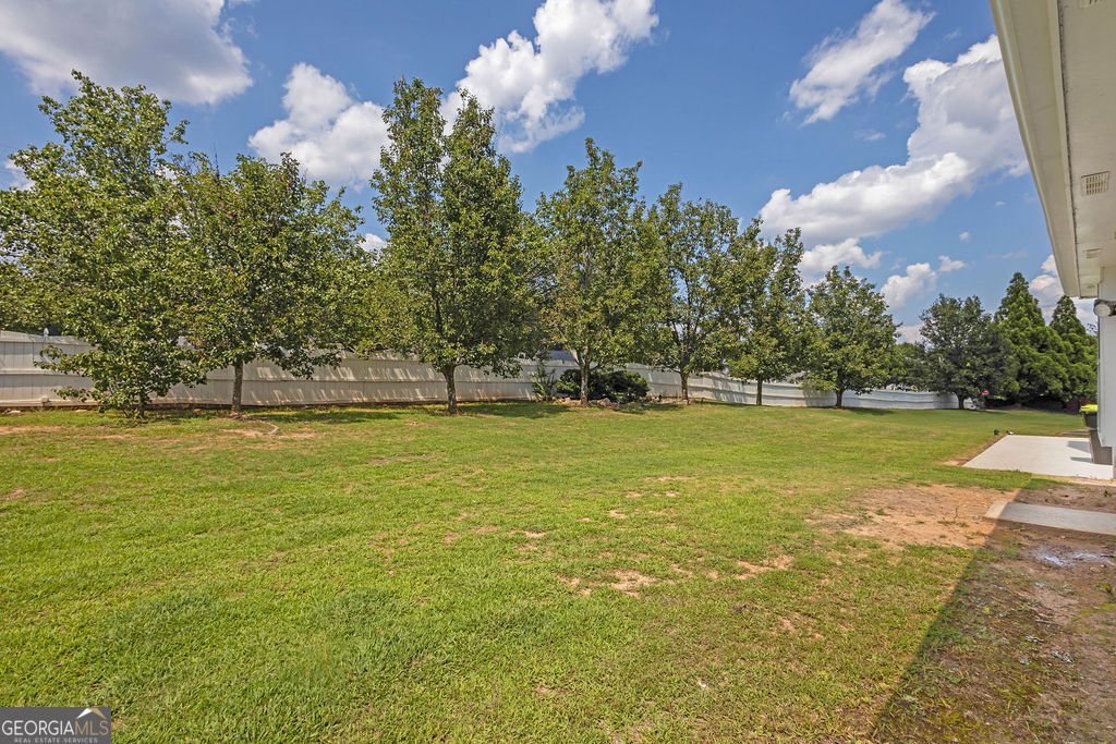 4111 Ravenwood Court Union City - 34