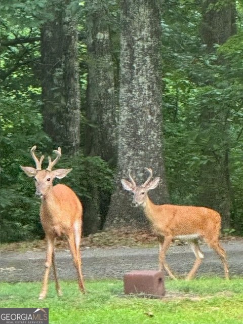 4840 CHAPEL HILL Road Douglasville - 39