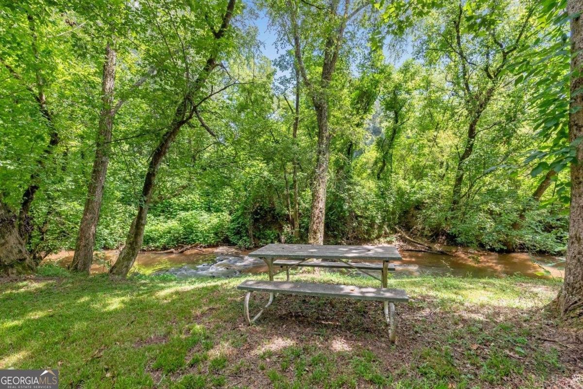 130 Wayne Wheeler Way Woodstock - 52