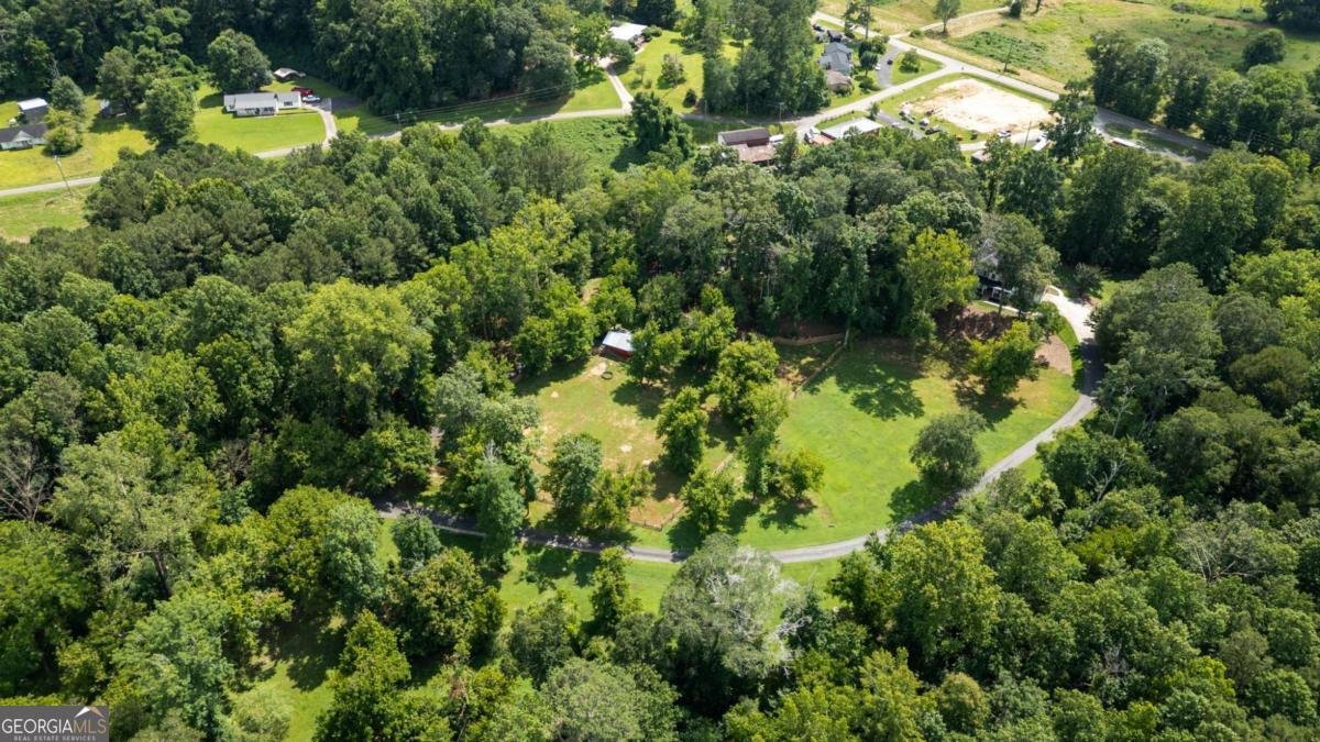 130 Wayne Wheeler Way Woodstock - 67
