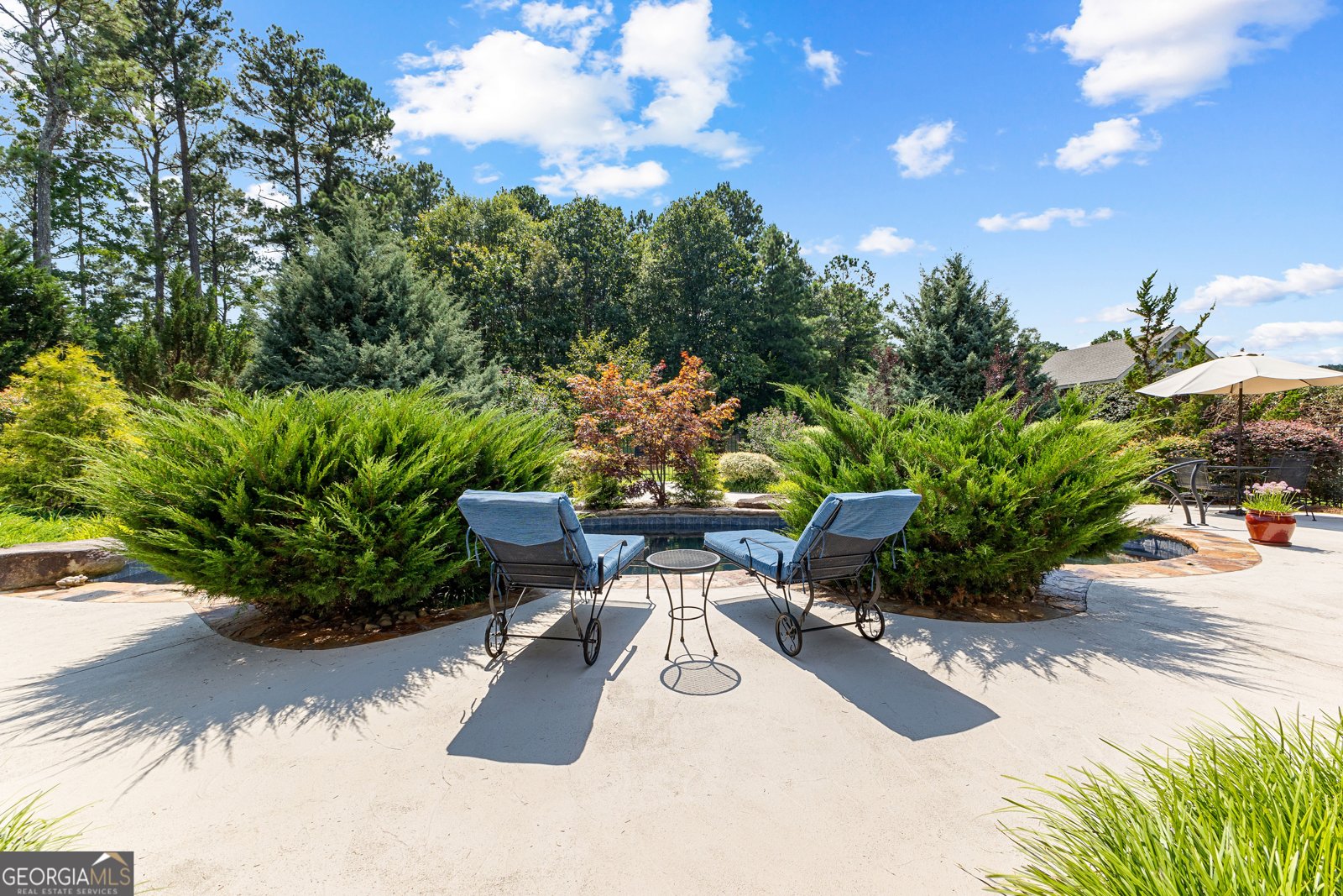 59 Common Oak Senoia - 37