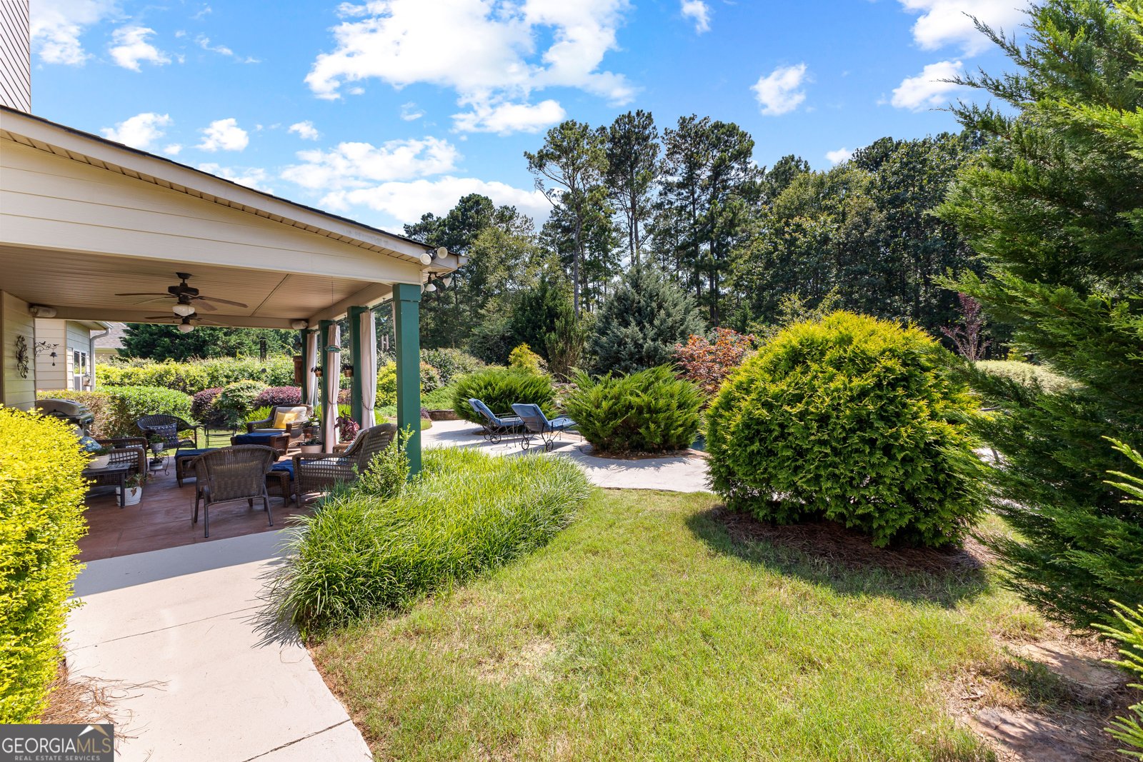 59 Common Oak Senoia - 39