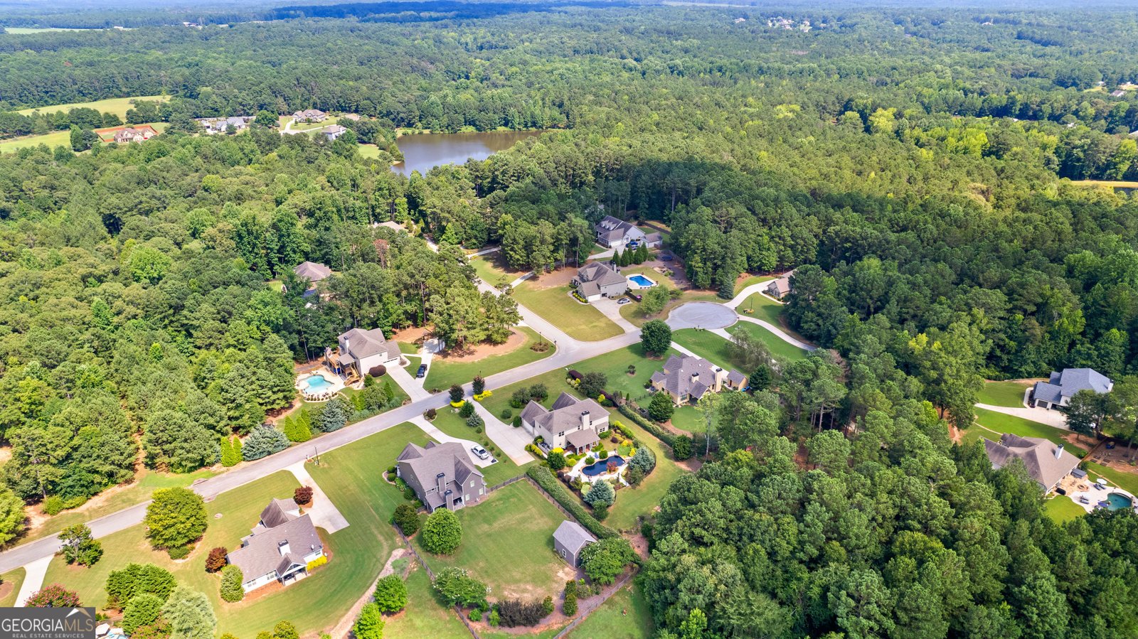 59 Common Oak Senoia - 50