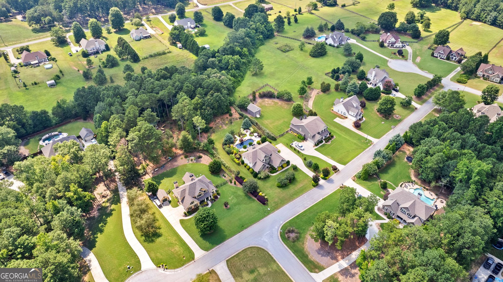 59 Common Oak Senoia - 53
