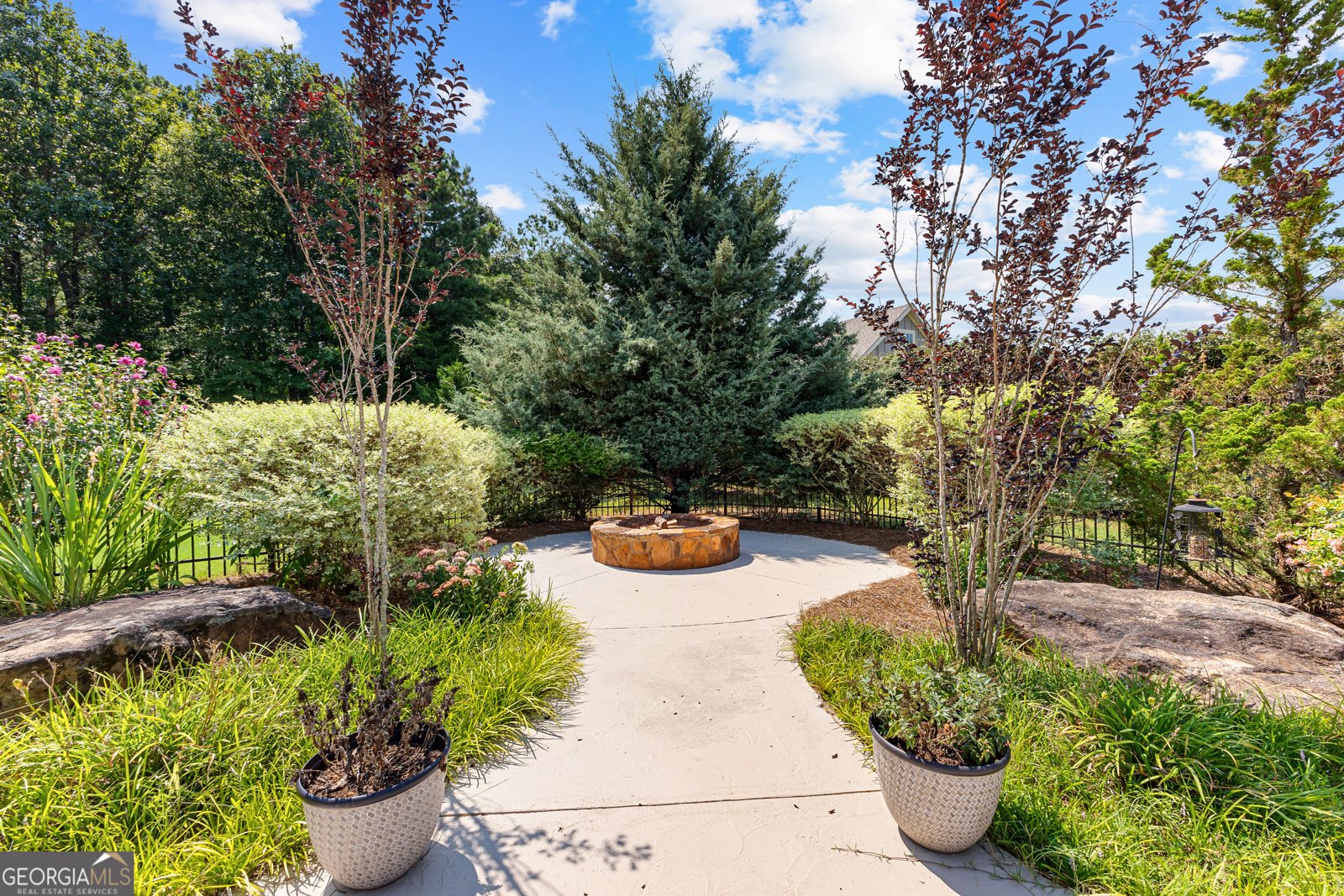 59 Common Oak Senoia - 59