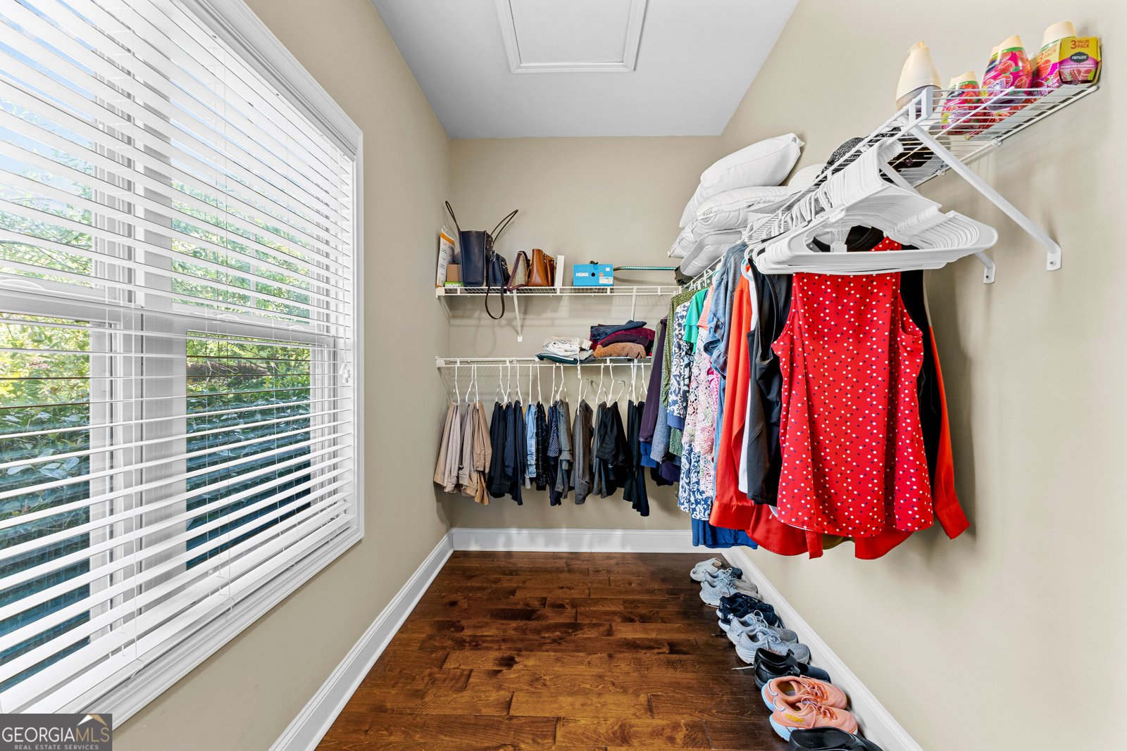 59 Common Oak Senoia - 6
