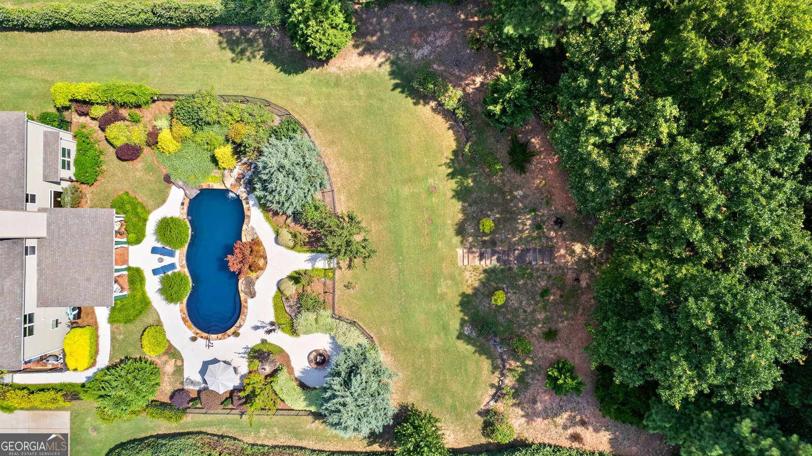 59 Common Oak Senoia - 60