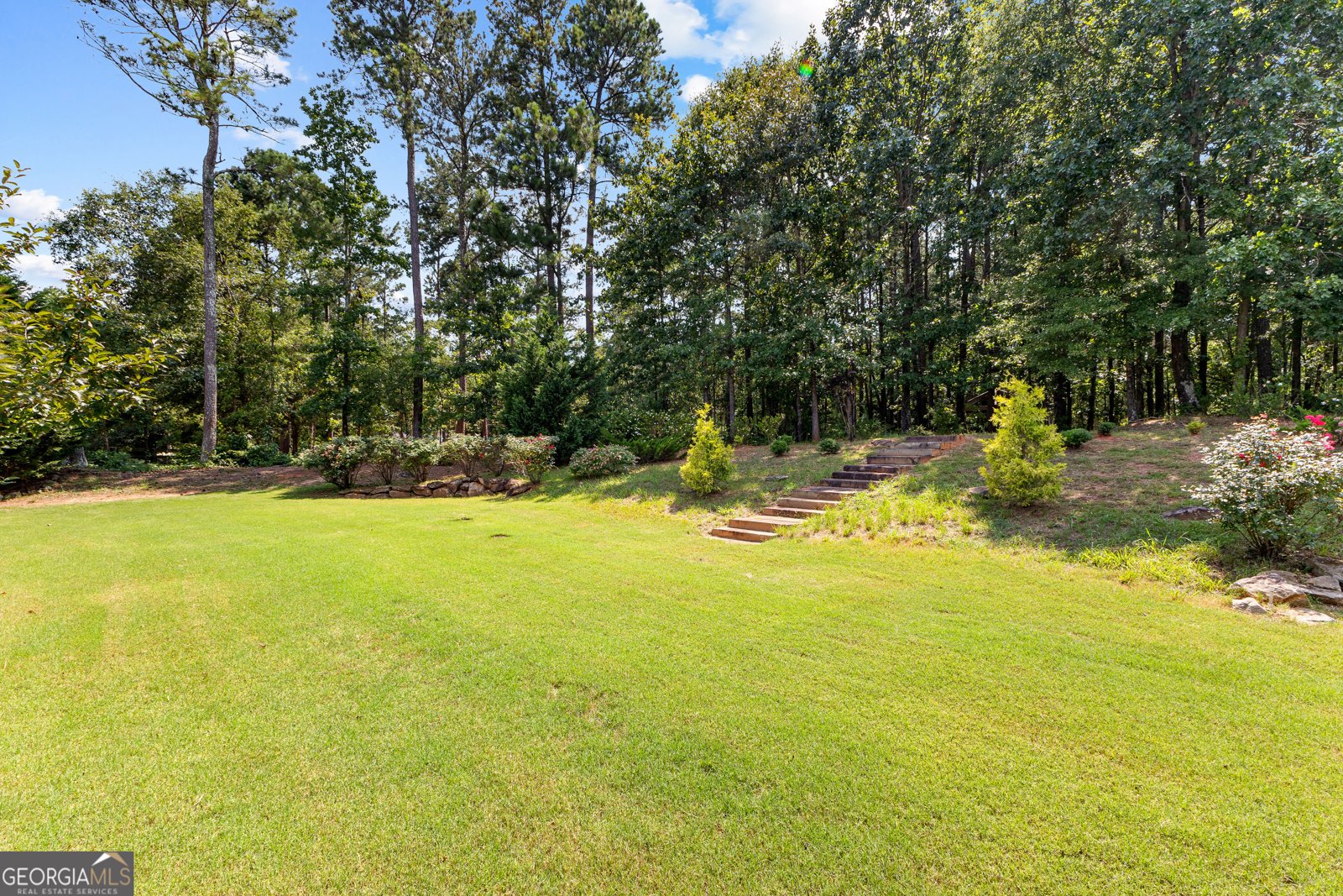 59 Common Oak Senoia - 61