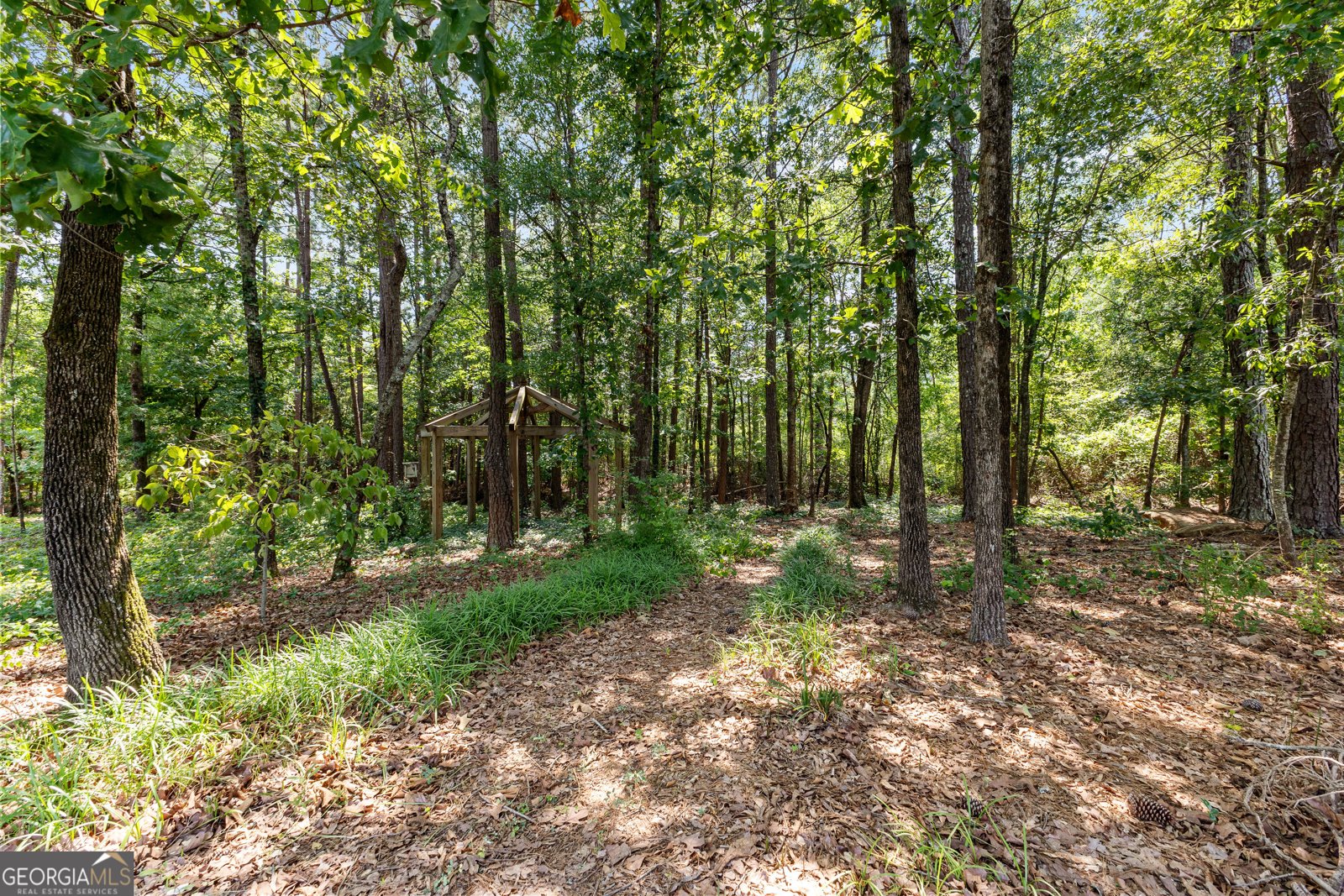 59 Common Oak Senoia - 62