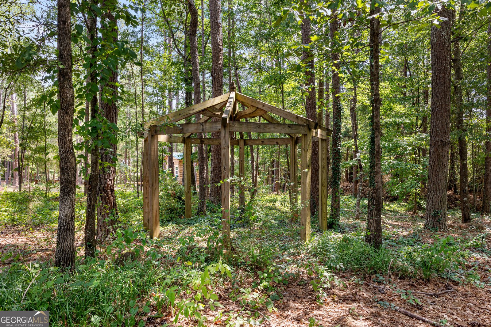59 Common Oak Senoia - 63