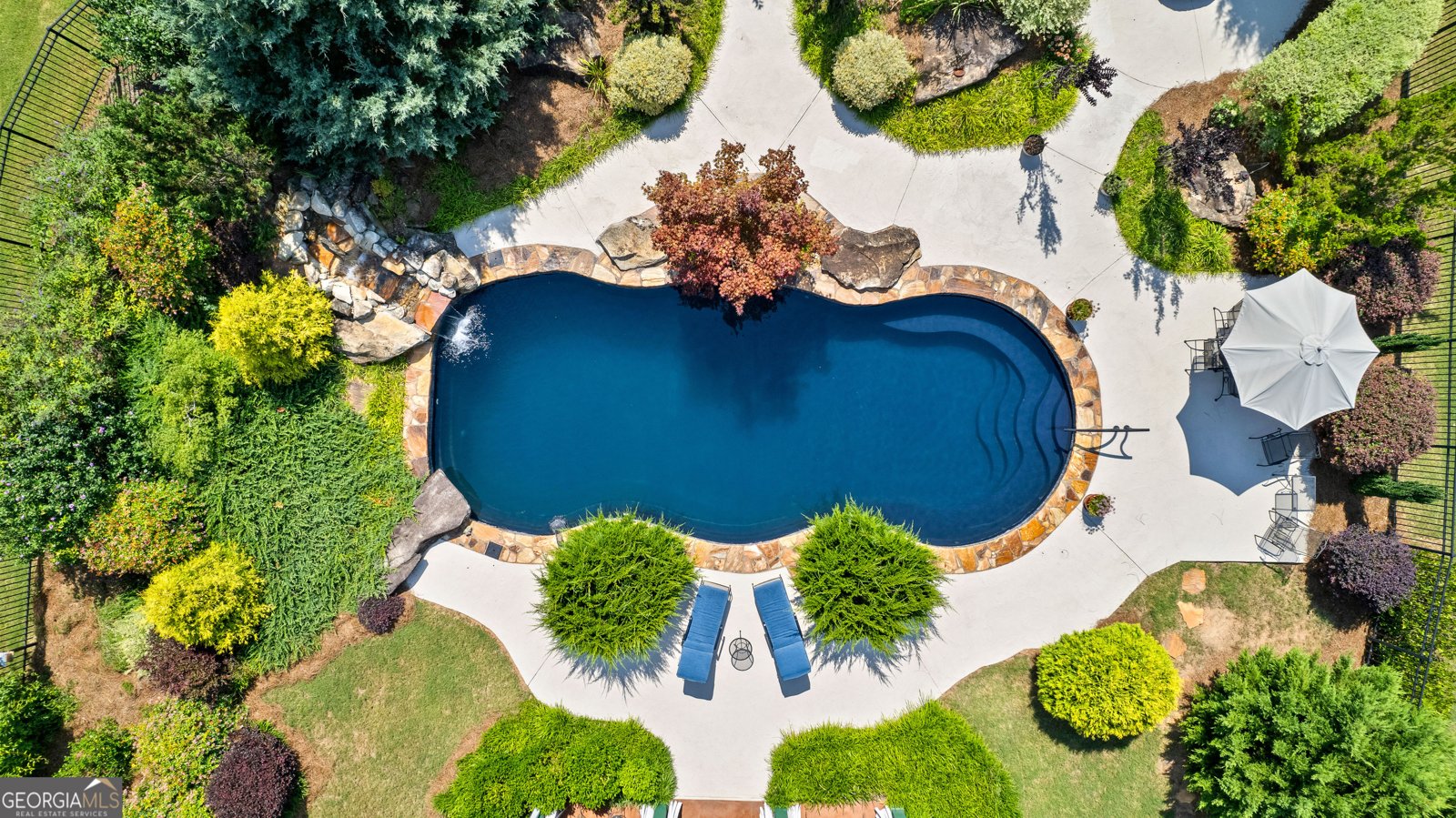 59 Common Oak Senoia - 76