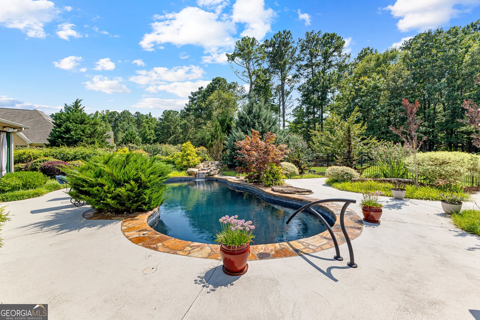 59 Common Oak Senoia - 80