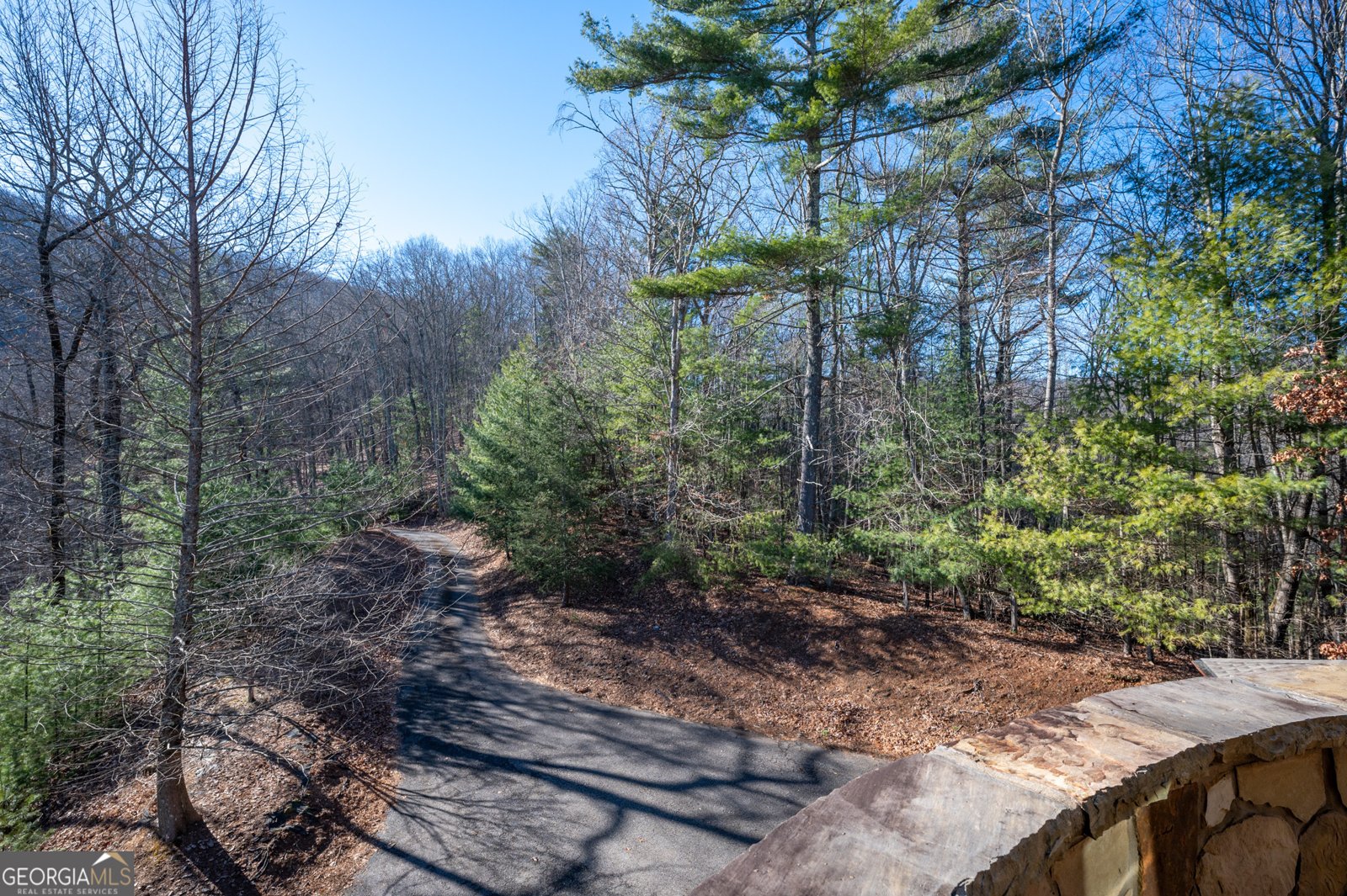 244 Tipton Court Cherry Log - 66