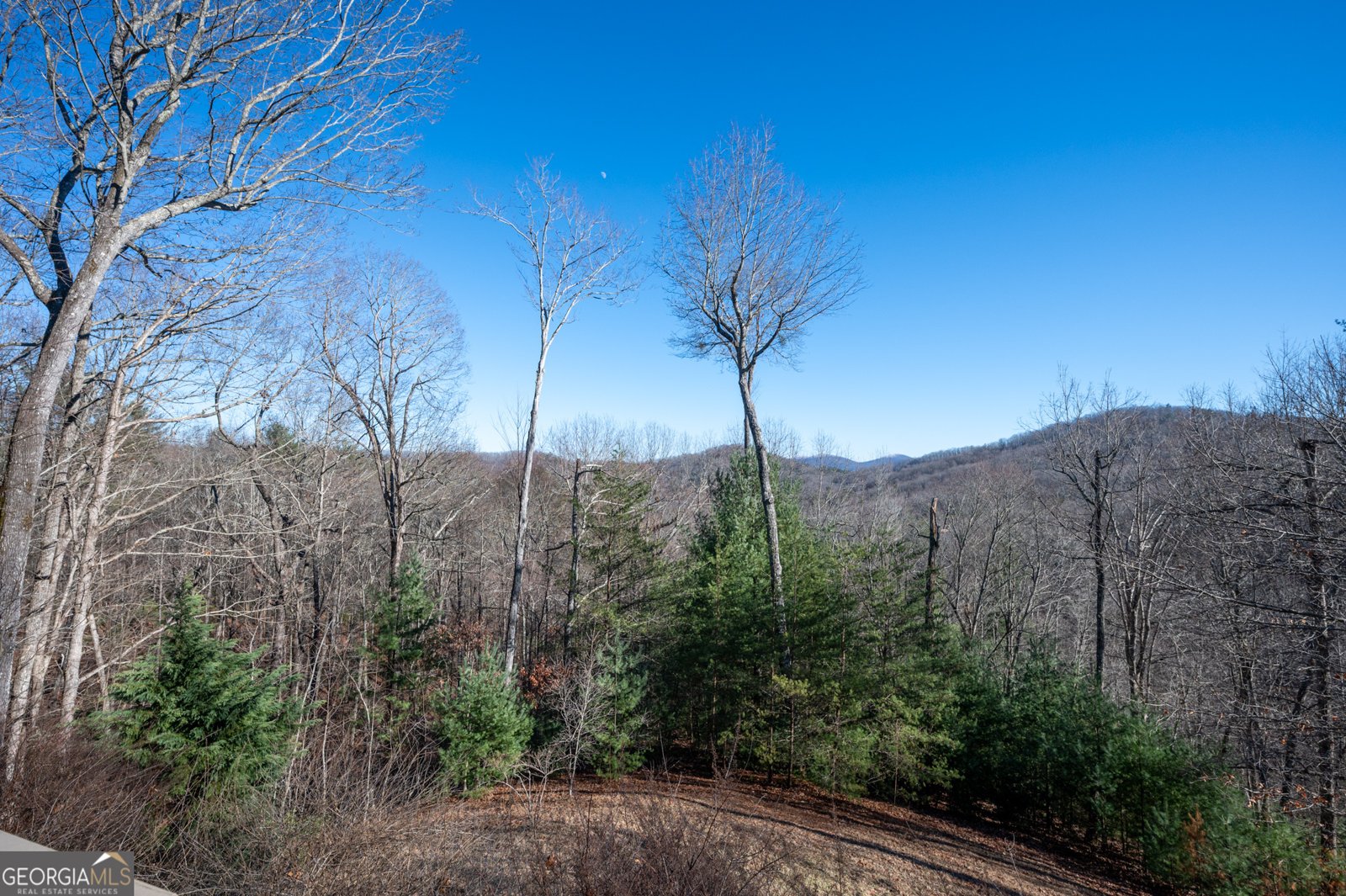 244 Tipton Court Cherry Log - 93