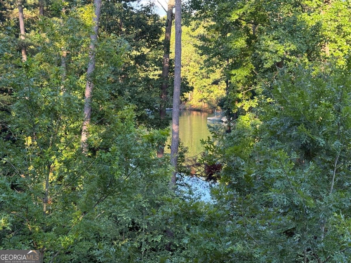 3200 Rim Cove Drive Cumming - 18