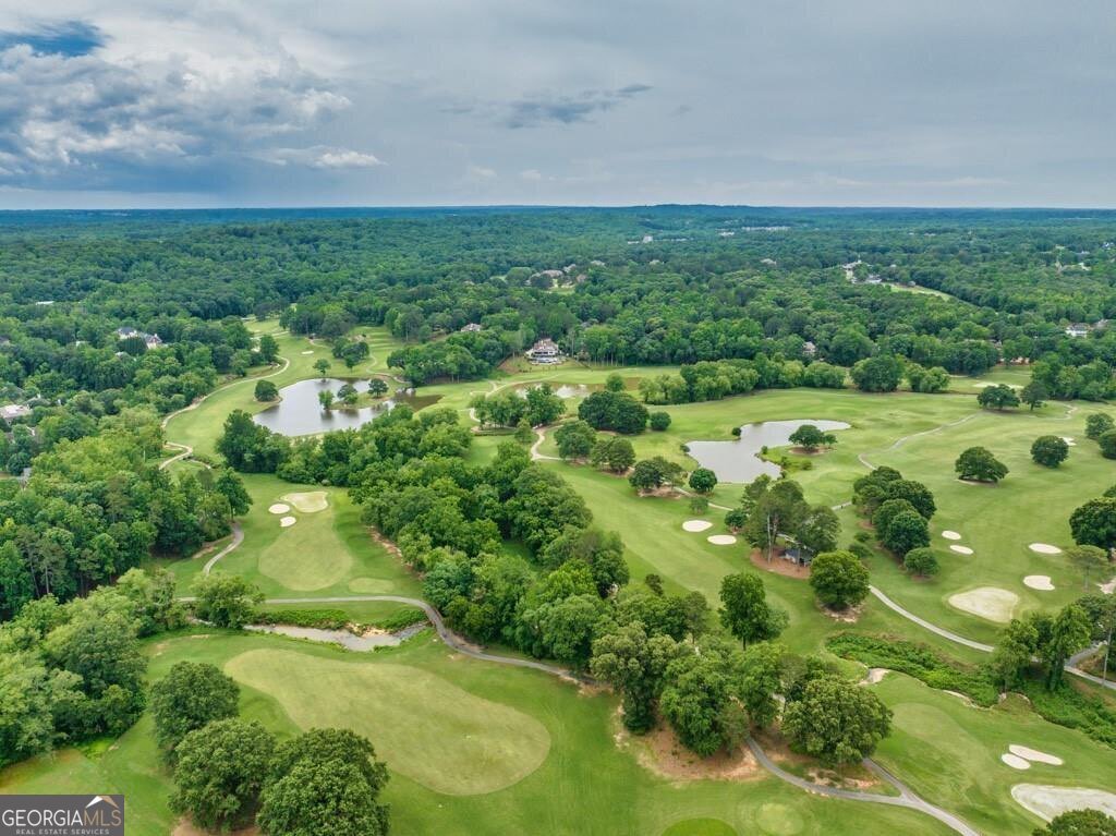 2455 Red Wine Oak Drive Braselton - 3