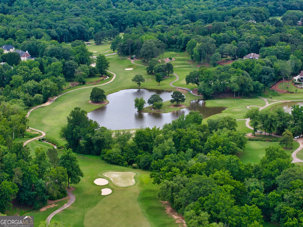 2455 Red Wine Oak Drive Braselton - 58