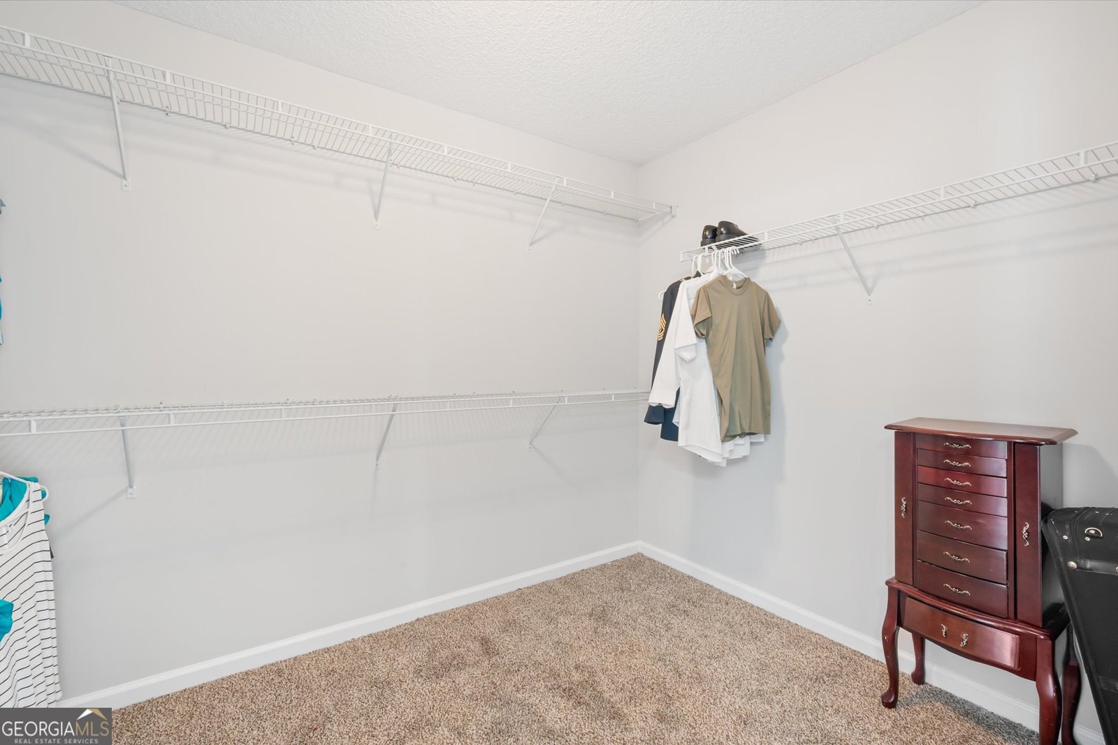 821 Mustang Lane Ludowici - 28