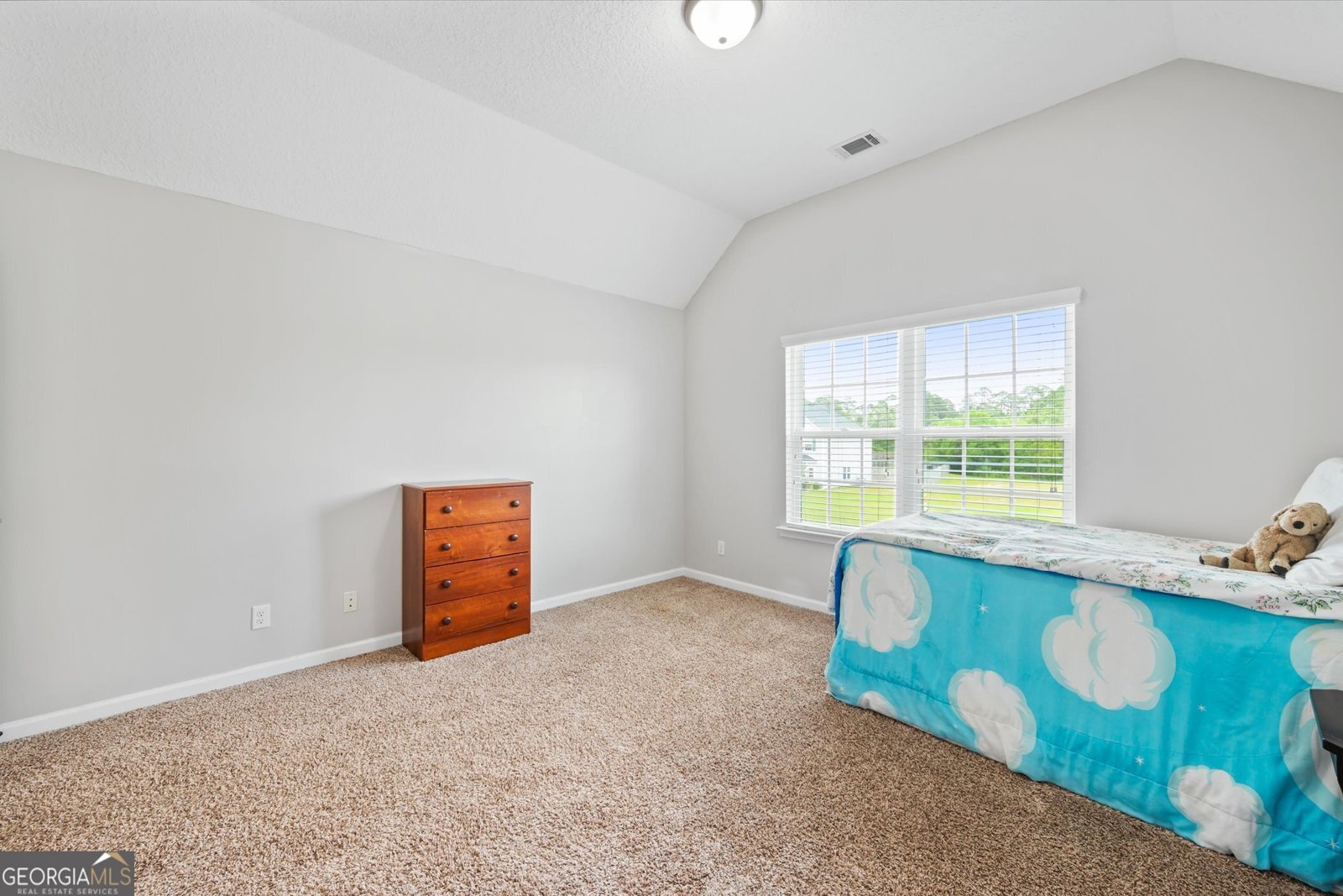 821 Mustang Lane Ludowici - 29