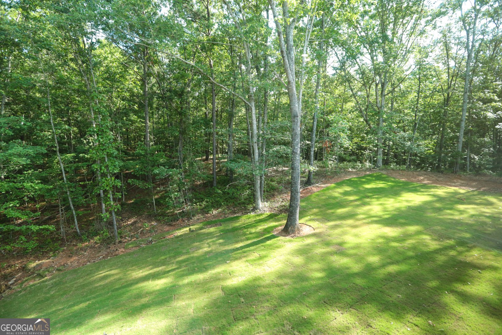 191 Willow Leaf Drive Buchanan - 14