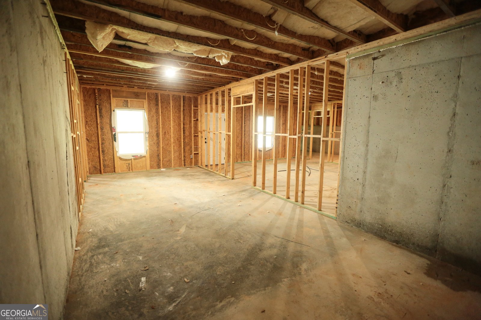 191 Willow Leaf Drive Buchanan - 52