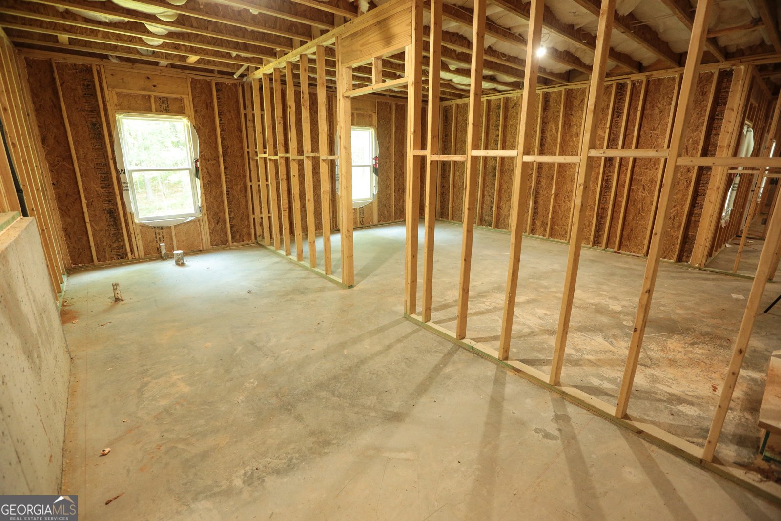 191 Willow Leaf Drive Buchanan - 54