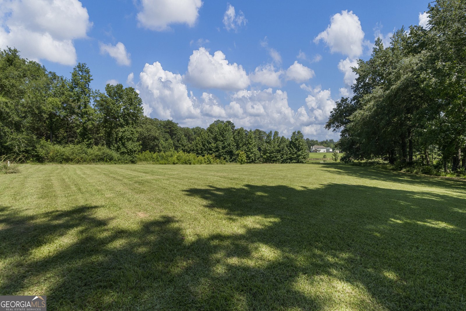 231 Maple Lakes Drive Cataula - 47