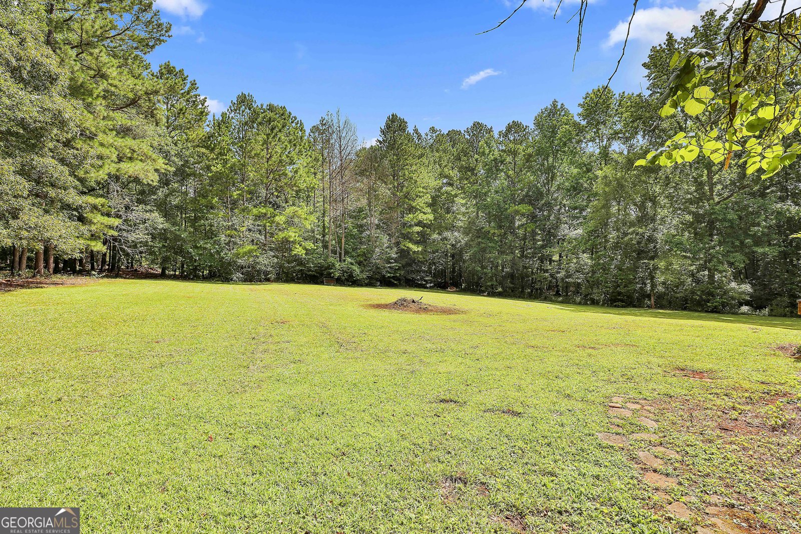 8150 Cochran Mill Road Chattahoochee Hills - 57