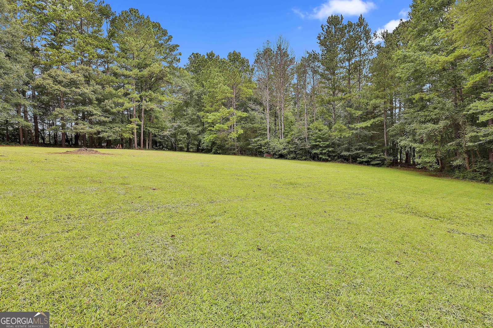 8150 Cochran Mill Road Chattahoochee Hills - 62