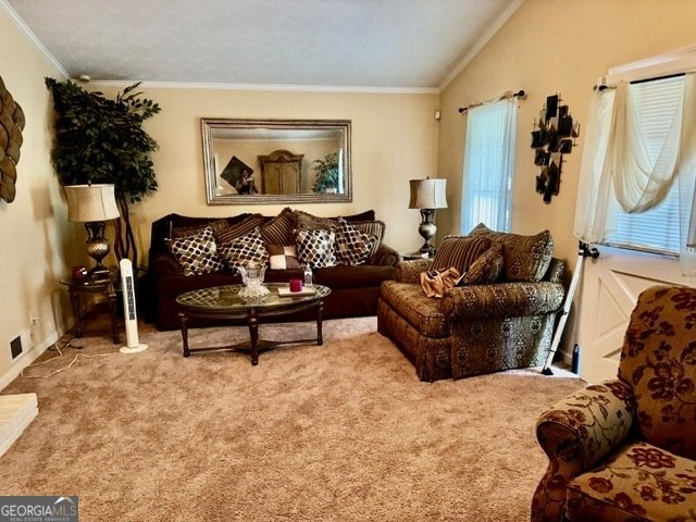 506 Ironwood Court Conyers - 4