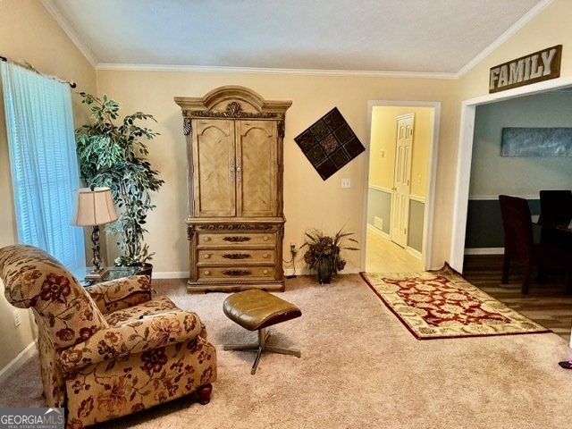 506 Ironwood Court Conyers - 5