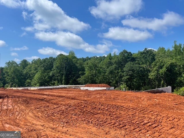 3055 Reserve Ct SW Conyers - 1