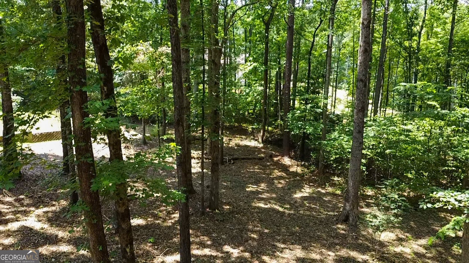 50 Laralee Lane Hampton - 13