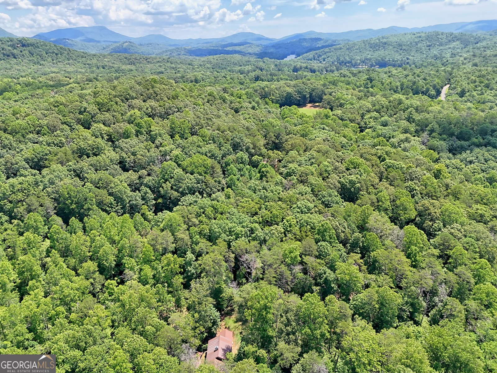 220A Brookwood Lane Clarkesville - 55