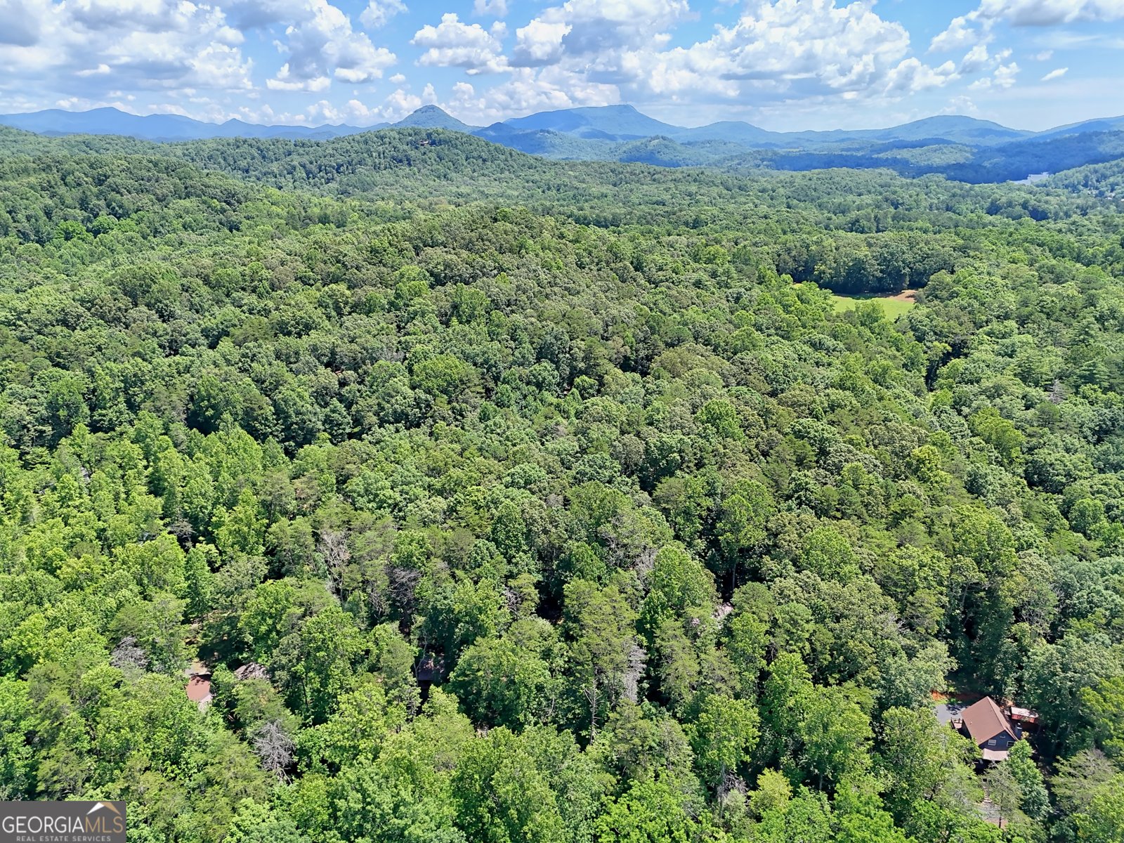 220A Brookwood Lane Clarkesville - 56
